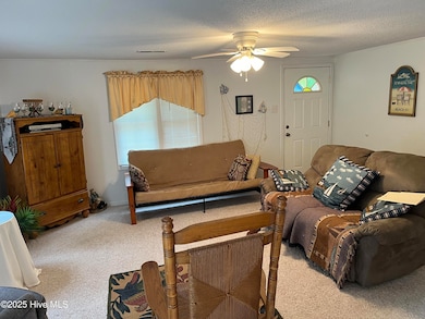 11 Cedar Ln, Blounts Creek, NC 27814 - photo 3