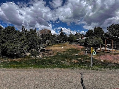 Lot 10 NE Ginters Grove Ln, Cedaredge, CO 81413 - photo 2