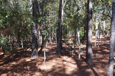 322 Sandspur Rd, Camden, SC 29020 - photo 4