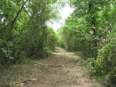 1456 Greenwood Ln, Forestburg, TX 76239 - photo 4