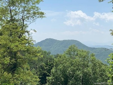 581 Old Newfound Rd unit 1, Leicester, NC 28748 - photo 2