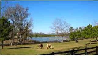Equestrian friendly community