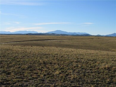 114 Andesite Way, Hartsel, CO 80449 - photo 4