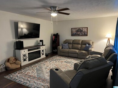 6244 Cane Creek Dr, Anniston, AL 36206 - photo 3