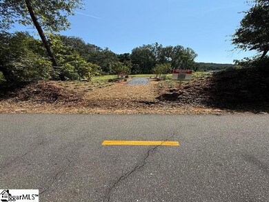 8 Lone Cypress St, Travelers Rest, SC 29690 - photo 6