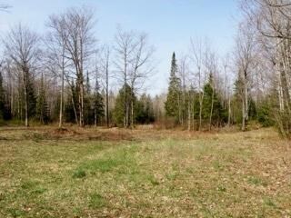Property view with trees