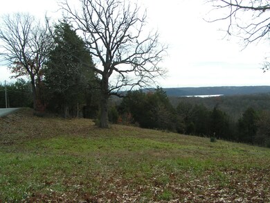 Lot 11 Bartels Subdivision, Kimberling City, MO 65686 - photo 2