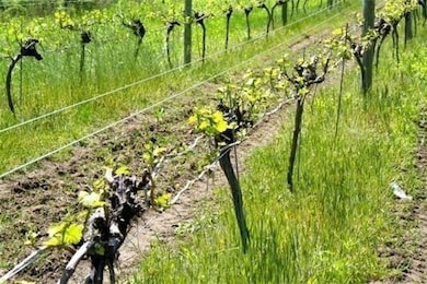 335 Old Fall River Rd, Dartmouth, MA 02747 - photo 7