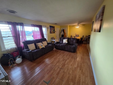 1914 E Oakland Ave, Johnson City, TN 37601 - photo 5