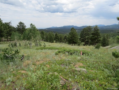 0 Peak To Peak Hwy unit REC2002177, Nederland, CO 80466 - photo 4