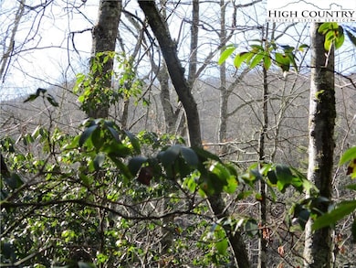 Views From Interior of Property