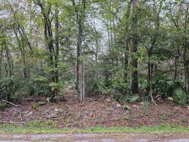 0000 Rd, Conroe, TX 77302 - photo 2