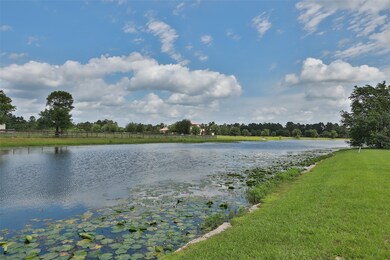 444 High Meadow Ranch Dr, Magnolia, TX 77355 - photo 4