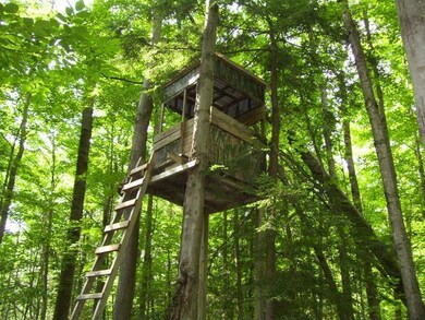 N7641 Miles Rd, Porterfield, WI 54159 - photo 6