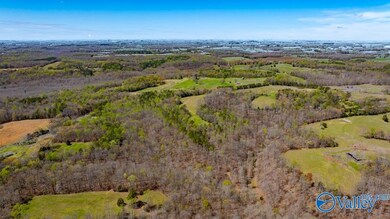 7204 Jernigan Hollow Rd, Athens, AL 35614 - photo 3