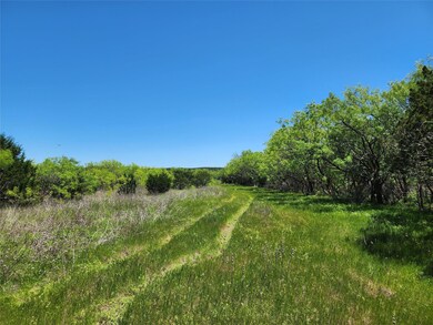 View of local wilderness