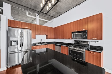 Morgan Street Lofts unit 805, Chicago, IL 60607 - photo 6