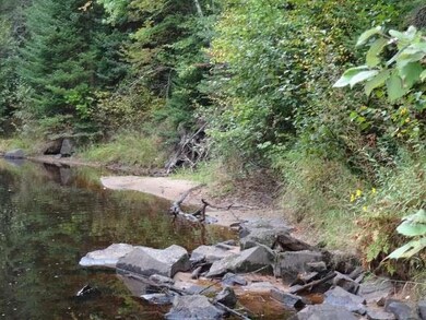 NEAR Honey Rd, Tomahawk, WI 54487 - photo 7