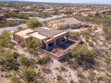 Desert Plume Backyard