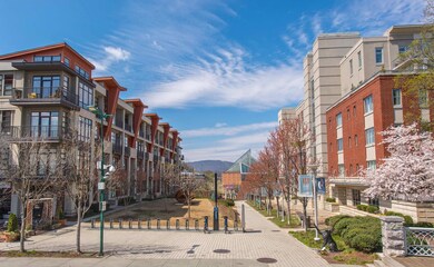 _MG11719.jpg