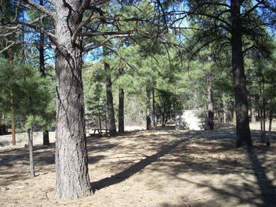3303 Black Canyon2