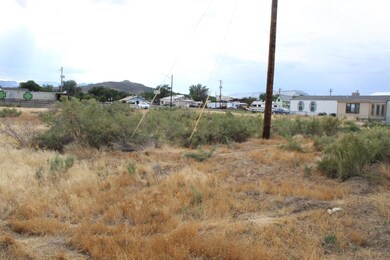 TBD E 3rd St, de Beque, CO 81630 - photo 5