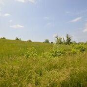 1370 Jackson Pike unit G, Harrodsburg, KY 40330 - photo 3