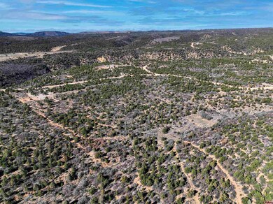 1657 De Oro Way, Hesperus, CO 81326 - photo 6