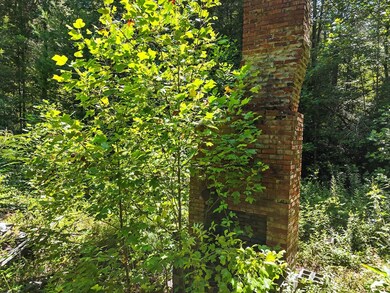 245+/-AC Gates Chapel Rd, Ellijay, GA 30540 - photo 3