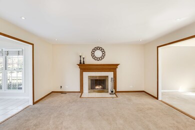 3915 Nighthawk Ct, Naperville, IL 60564 - photo 2