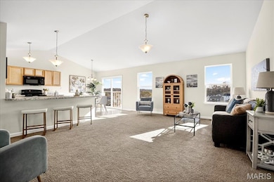 1520 Winding Meadows Dr, Fenton, MO 63026 - photo 5