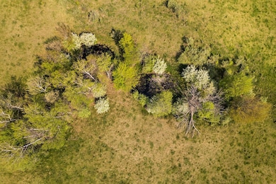 25-web-or-mls-DJI_0051