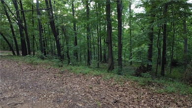 0 Linfield Ln unit 1276166, Bella Vista, AR 72715 - photo 5