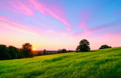 1005 Bypass Hwy N, Lawrenceburg, KY 40342 - photo 5