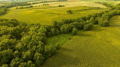 000 290th St, MacKsburg, IA 50155 - photo 4