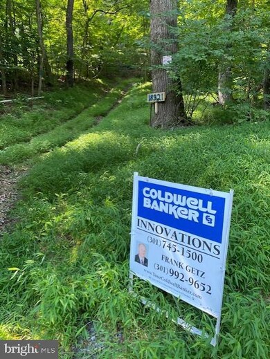 18321 Mount Lock Canal Rd, Sharpsburg, MD 21782 - photo 5