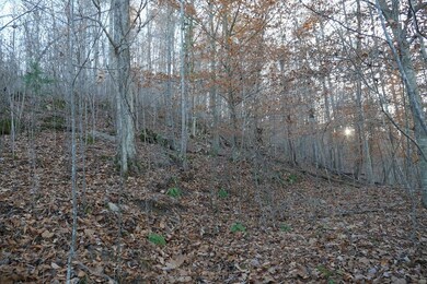 0 Bristol Hwy unit LotWP001, Bristol, VA 24202 - photo 2