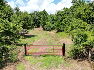 3042 Sheep Ranch Rd, Robbins, TN 37852 - photo 2