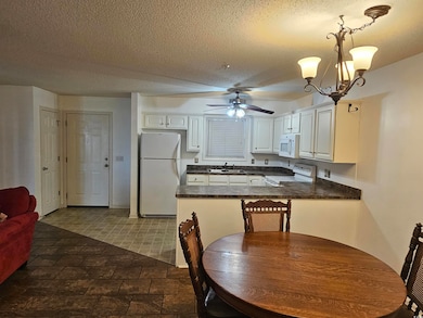 197 Charter Dr unit D1, Longs, SC 29568 - photo 3