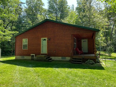 8394 N Woodbridge Rd, Brohman, MI 49312 - photo 4