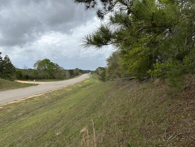 Tract#6103 E Lloyd Mill Rd, Other, AL 00N/A - photo 3