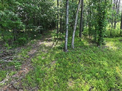 Ms-46, Mantee, MS 39751 - photo 4