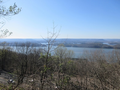 0 Scenic Dr unit 19785816, Section, AL 35771 - photo 3