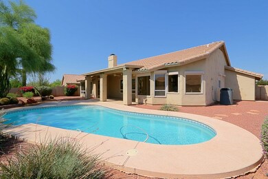 Backyard 2