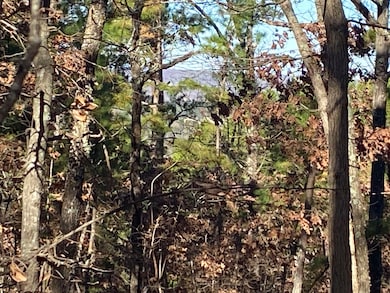 924 Quail Way, Elizabeth, AR 72531 - photo 3