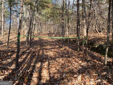 0 Quail Way unit LOT 533, Jasper, GA 30143 - photo 5