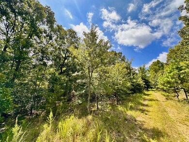 Lot 24 and 25 Block 3 Sequoyah Addition 1, Vian, OK 74962 - photo 6