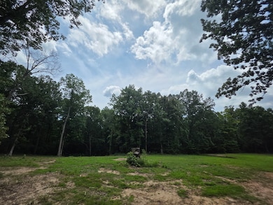 0 Baggett Hollow unit RTC3052017, Cunningham, TN 37052 - photo 4