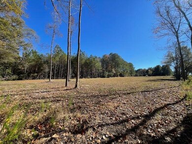 608 Bc Estates Ln, Cross, SC 29436 - photo 7