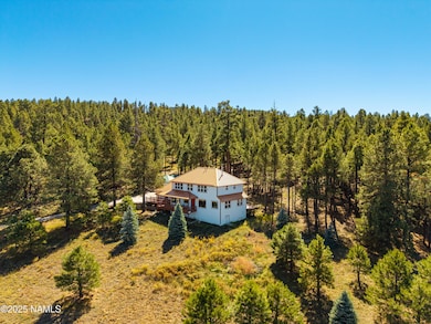 6605 N Bader Rd, Flagstaff, AZ 86001 - photo 3